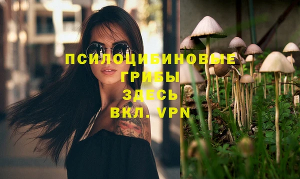 соль курить ск Алексин