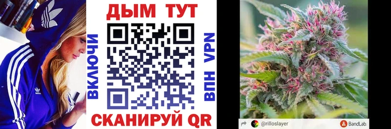 Бошки марихуана OG Kush  Купить где  Козьмодемьянск 