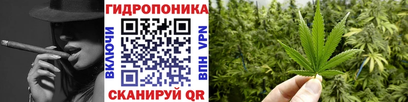 Бошки марихуана план Козьмодемьянск